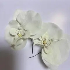 テ*レ様 胡蝶蘭髪飾り　ウェディング　前撮り　和装　金箔付き