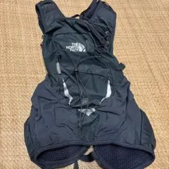 THE NORTH FACE バックパック　Martin Wing10
