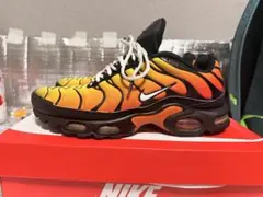 Nike Air Max Plus オレンジ/イエロー