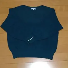 プラステ　スプリングドルマンニット