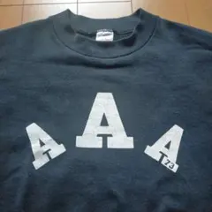 90's フルーツオブザルーム 半袖 スウェット L USA製 ビンテージ