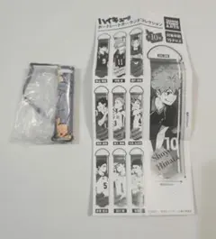 ハイキュー!! ポートレートガーランド 日向