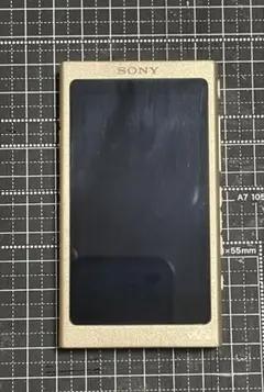 WALKMAN NW-A105 16GB microSDXC対応 クリアケース付 - メルカリ