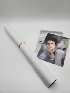 ガンダム 閃光のハサウェイ キルケーの魔女 特典 A3ポスターとイラストカード