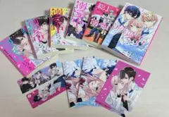 総長さま、溺愛中につき。 特典付きセット