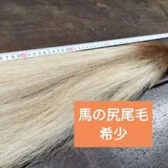 Item thumbnail for item f27731af-c441-49d7-9a4c-2126531eb055