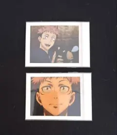 ぱしゃこれ　虎杖悠仁