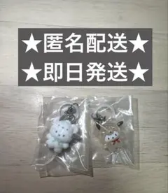 【即日発送】サンリオめじるしアクセサリー人気シリーズ！2点セット（ポチャッコ）