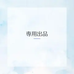専用出品