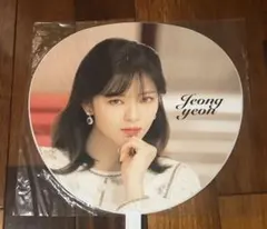 TWICE #Dreamday ジョンヨン うちわ