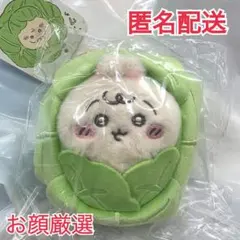 chikawa baby キャベツに包まれたうさぎマスコット