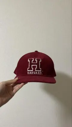 Item thumbnail for item 2e58f2ad-a04f-47f5-8464-172ddf1b498d