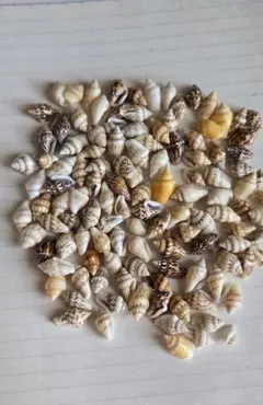 Item thumbnail for item 69765c32-b470-4e97-ba28-8474d6bf8217