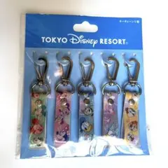 東京ディズニーリゾート アクリルキーホルダー 5個セット