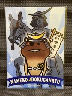 なめこ栽培キット クリアファイル 全国MAP 独眼竜　①