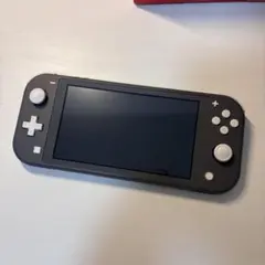 美品　Nintendo Switch Lite グレー本体　純正充電器　即日発送