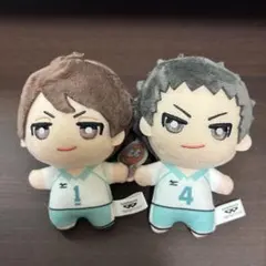 ハイキュー ちびぐるみ 及川 岩泉