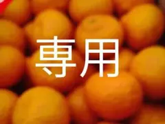 daiana.mazateresa様専用ページです。