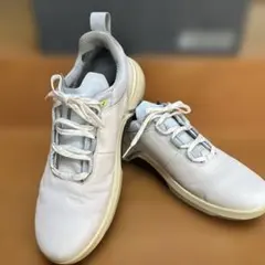 Item thumbnail for item 5c1de6e5-9ecd-429a-bc5c-327c744ba40a