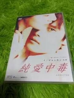 純愛中毒 DVD イ・ビョンホン主演