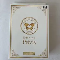 2026年最新】pelvis 骨盤ベルトの人気アイテム - メルカリ
