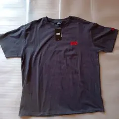 Item thumbnail for item 13f2e94e-0957-4e29-804a-3e75bae5901c