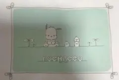 サンリオ ポチャッコ Tシャツ LLサイズ