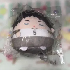 ハイキュー‼︎ くじメイト　ぬいくじ　E賞 赤葦京治