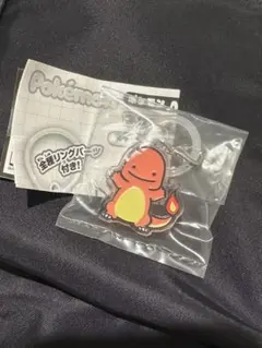 ポケモン つやふるチャームマスコット ヒトカゲ