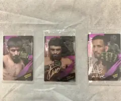 RIZIN クレベルコイケ　ケラモフ　ダウトベックカード3枚セット