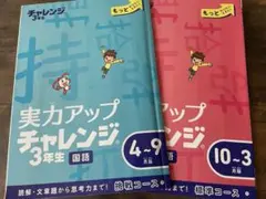 2025年最新】チャレンジ3年生の人気アイテム - メルカリ