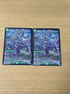 環嵐 ホールインワンヘラクレス2枚