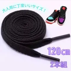 黒 ブラック 靴紐 120㎝ 2本組 平紐 シンプル スニーカー用 替え紐 軽量