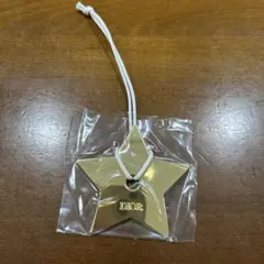 DIOR 星チャーム