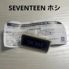 SEVENTEEN MUSEUM ピンズ ホシ