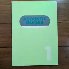 ACOUSTIC GUITAR 1
