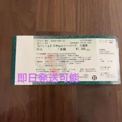 六甲山スノーパーク 入園券　小人　お値下げ相談可