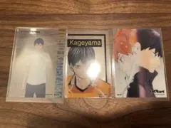 ハイキュー!! 影山飛雄 10thクロニクル スナップフォトカード 3枚