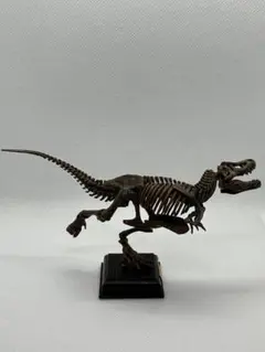 ネイチャーテクニカラー 古生物ティラノサウルス(焦茶化石色)のサムネイル