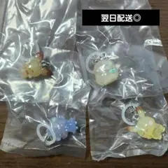 ポケピース　めじるしアクセサリー