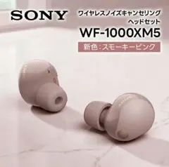【中古・美品‼️】SONY WF-1000XM5 イヤホン　スモーキーピンク SONY（ソニー） 【在庫限り】SONY WF-1000XM5 P スモーキーピンク