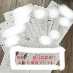 駿台の森先生による授業プリント
