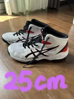 アシックス　バッシュ２５㌢