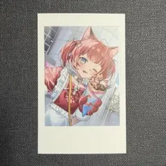 匿名配送！ crazy raccoon かるび カード