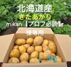mikan【プロフ必読】様専用 北海道産 きたあかり（Lサイズのみ）5kg