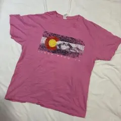 725] USA古着 GILDAN Tシャツ 半袖 ピンク L 海外 輸入