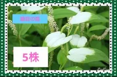 とんちゃん様 リクエスト 3点 まとめ商品　メルカリ便発送