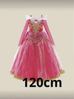 ディズニー オーロラ姫風 プリンセスドレス