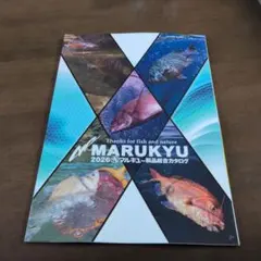 Item thumbnail for item 57320a2c-e950-4a14-b0ec-4bd4a420a613