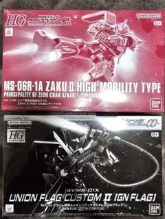 RG ザンライザー HG GNフラッグ の2点セット - メルカリ